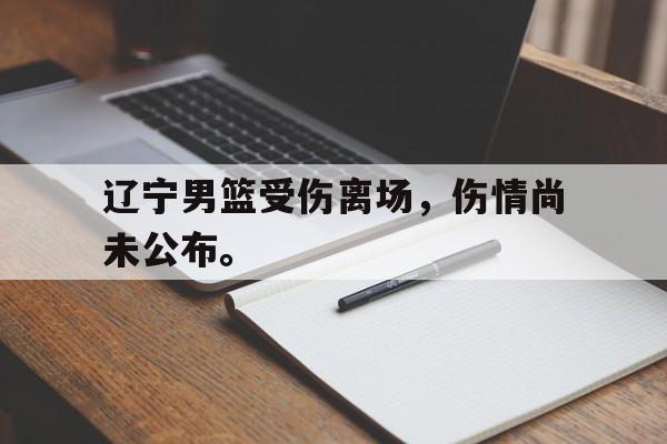 乐鱼体育官方-辽宁男篮受伤离场，伤情尚未公布。