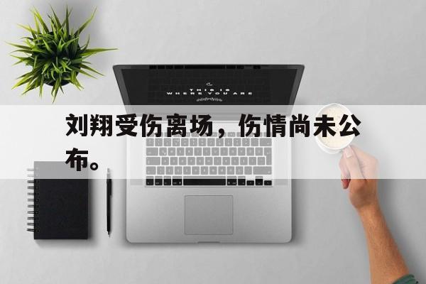 乐鱼体育平台-刘翔受伤离场，伤情尚未公布。