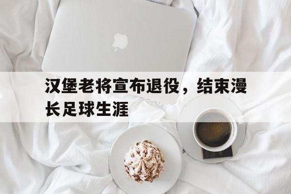 乐鱼体育平台-汉堡老将宣布退役，结束漫长足球生涯